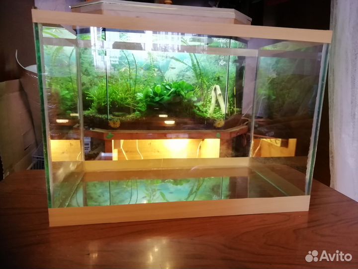 Аквариум