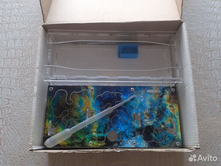 Муравьиная ферма