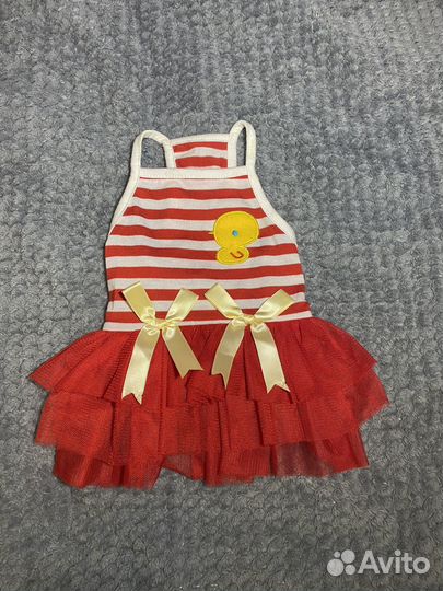 Одежда для собак мелких пород(чихуа хуа)