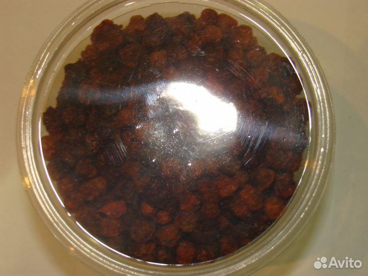 Рябина ягода сухая