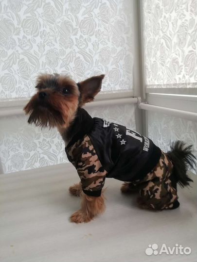 Вязка мини йорк