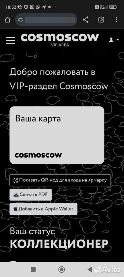 Cosmoscow 2024 vip билет