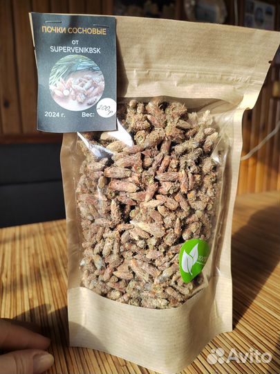 Сосновые почки