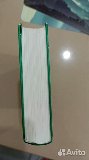 Телохранитель для Мессии - Ю. Морозова, Пропавший