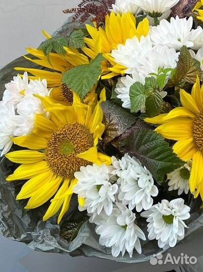 Подсолнухи и хризантема ромашковидная