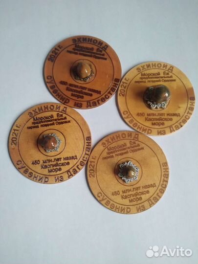 Окаменелости