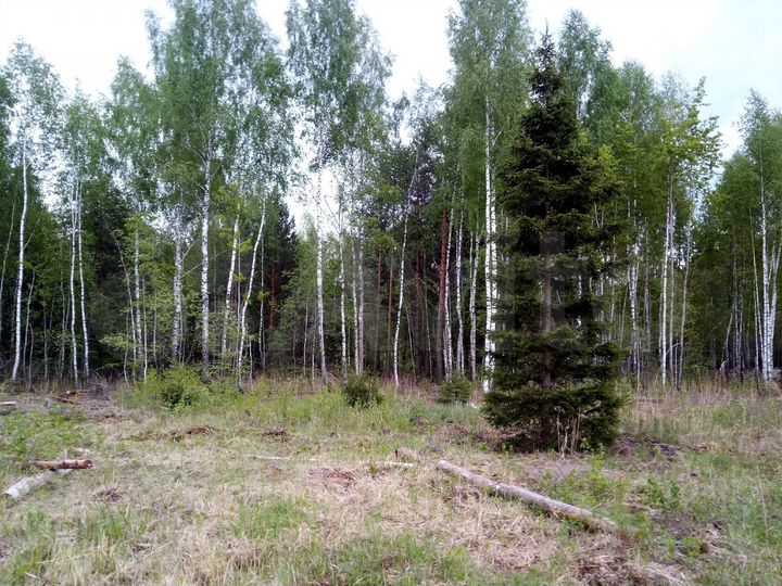 Участок 12,86 га (СНТ, ДНП)