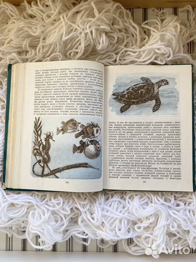 Жюль Верн Двадцать тысяч лье под водой 1978