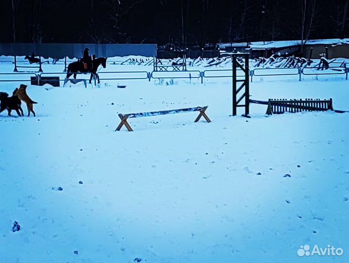 Крестовина для кавалетти