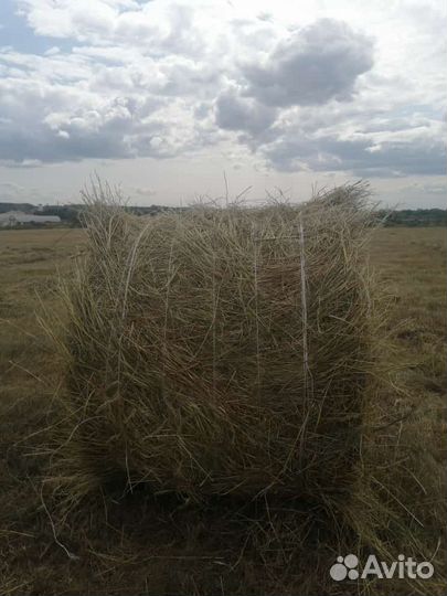 Сено в рулонах 2023