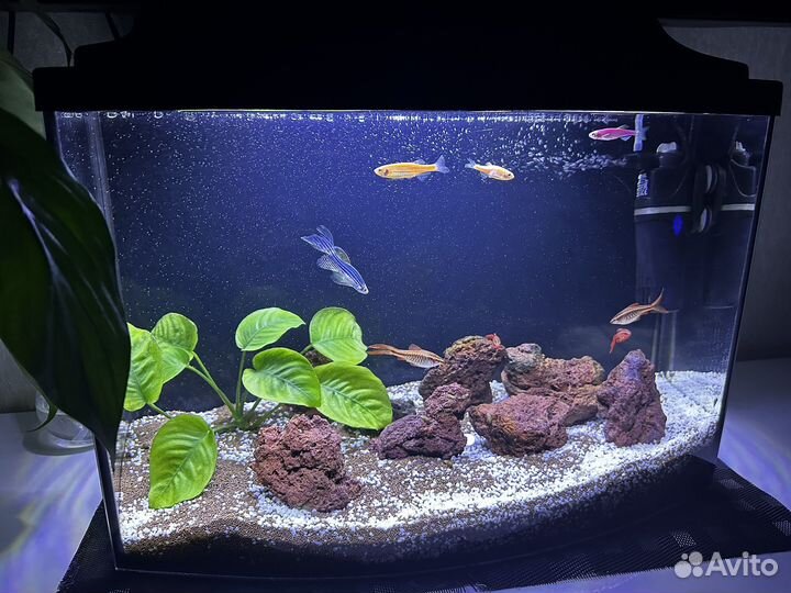 Аквариум