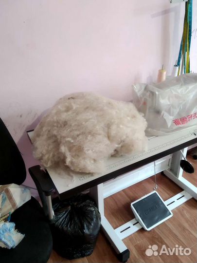 Шерсть овечья