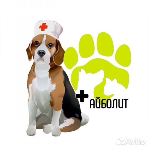 Ветеринарный врач на дом