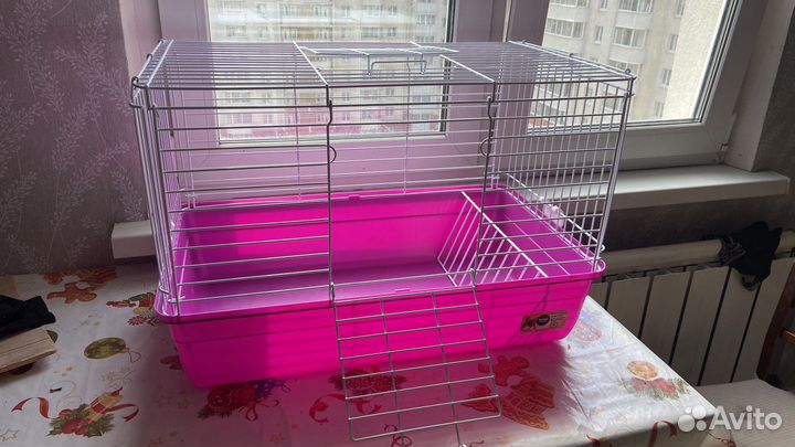 Клетка средняя