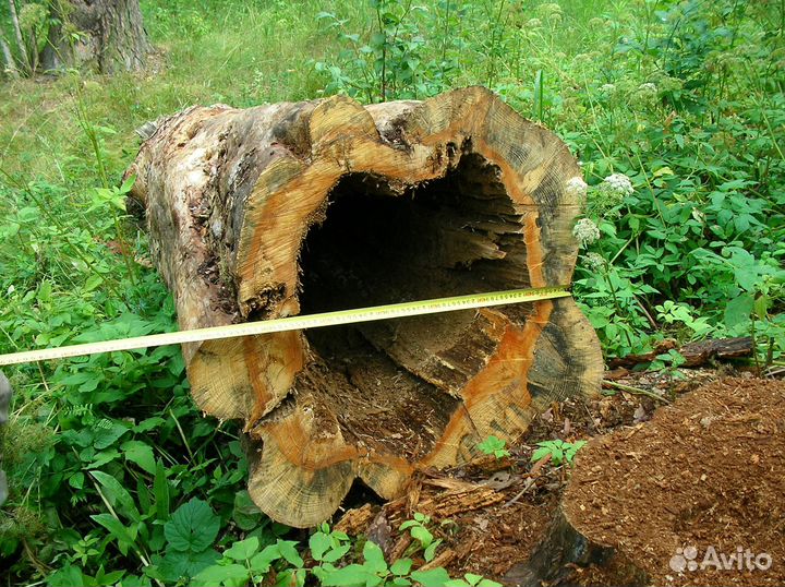 Колода для пчел бревно для колоды