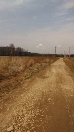 Участок 1,13 га (ИЖС)