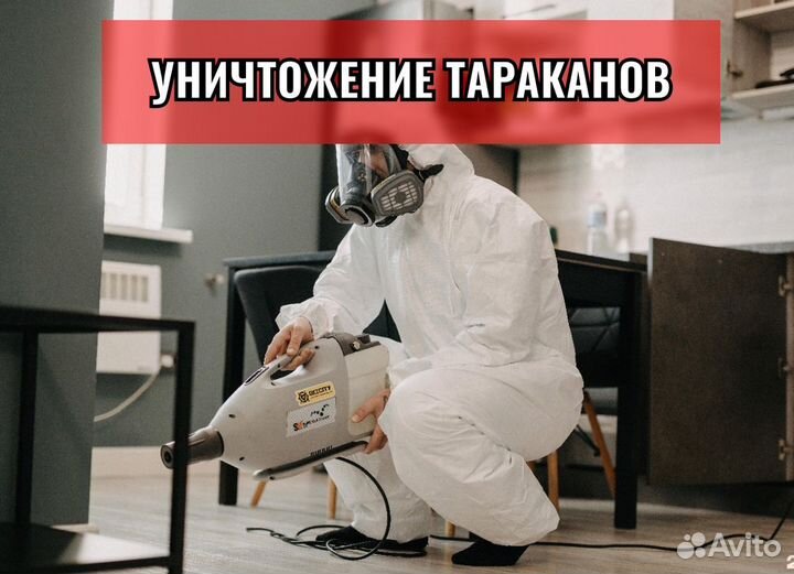 Уничтожение клопов, Травля тараканов, Дезинфекция