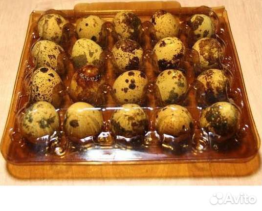 Упаковка для перепелиных яиц