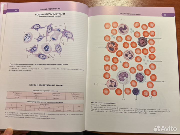 В.Л. Быков, атлас. гистология, 2015 г