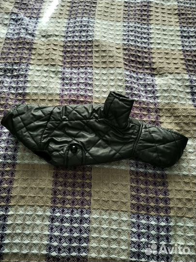 Одежда для животных