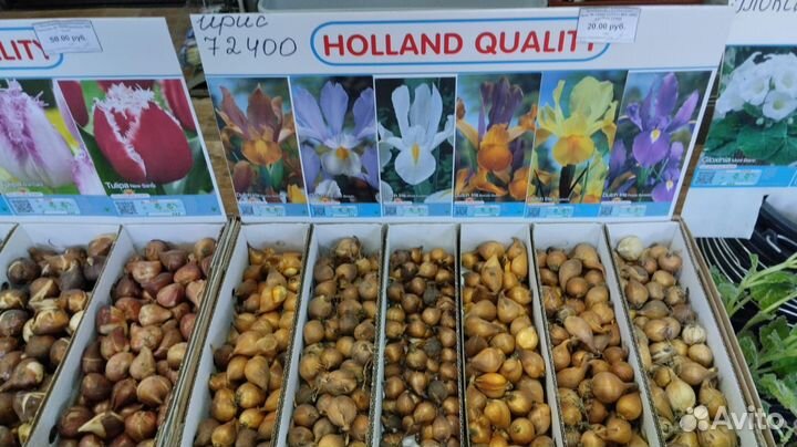 Добро пожаловать В Садовый Центр