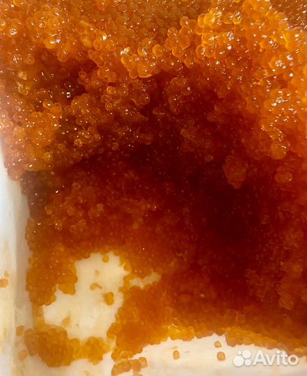 Икра красная Кета. 2023 год вылов