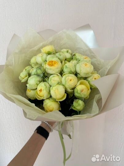 51 Роза, Букеты Цветы Розы Доставка 25 101