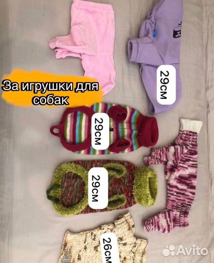 Одежда для собак