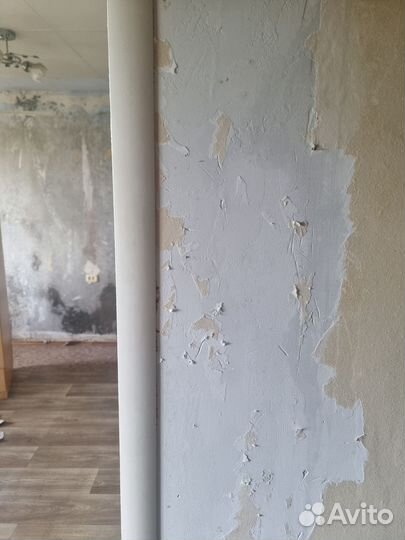 Убрать плесень