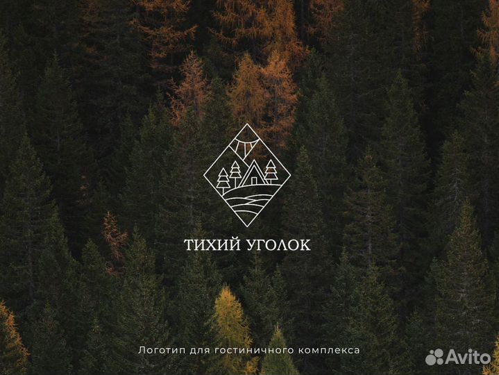 Графический дизайнер / логотип / фирменный стиль