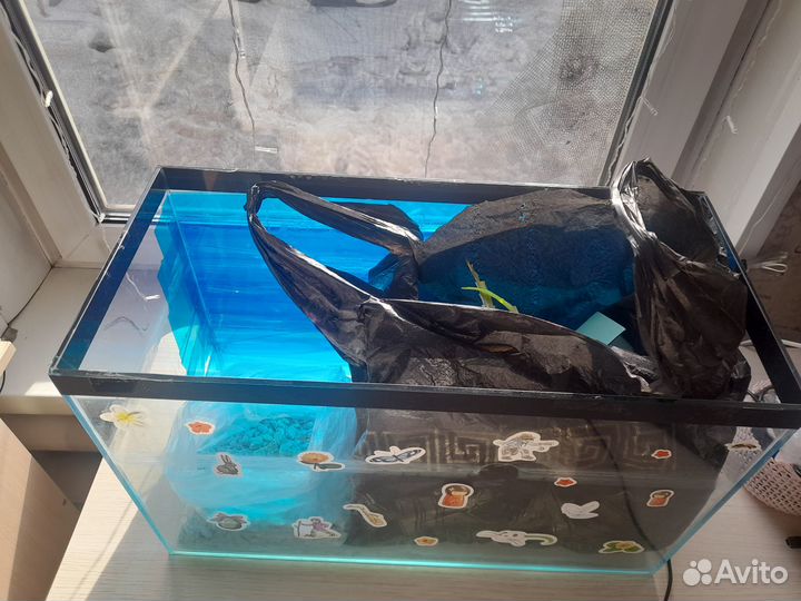 Аквариум