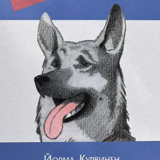 Овчарка Рой Йорма Курвинен