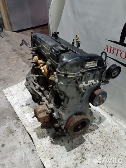 Двигатель Форд/Ford Mondeo, Focus, C-Max