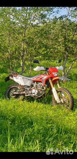 Дакар кросс 250 166fmm