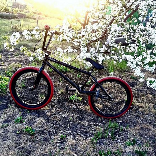 BMX WTP