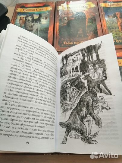 Книги Хроники Стаи, Эрин Хантер