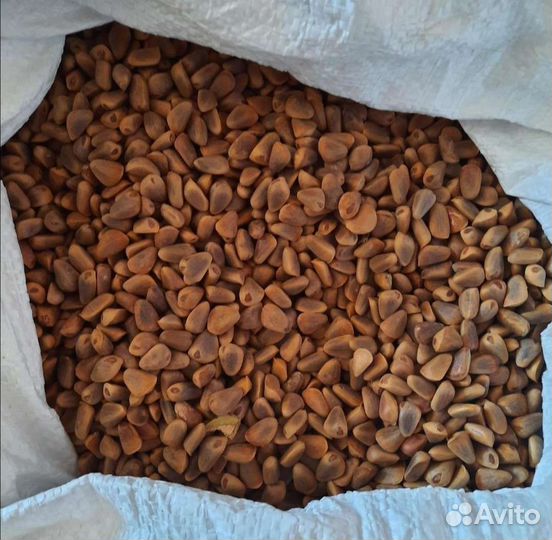 Кедровый орех