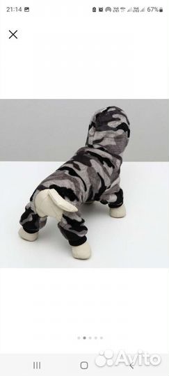 Одежда для собак