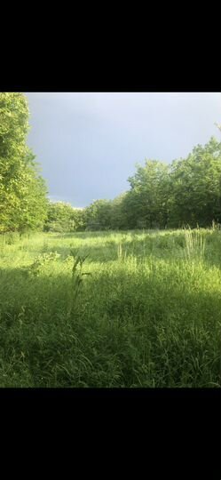 Участок 1,3 га (СНТ, ДНП)