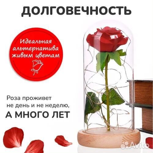 Роза в колбе