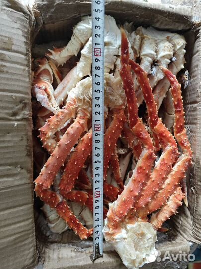 Камчатский краб вылов от 26 авг