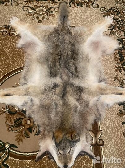Ковер из шкуры волка