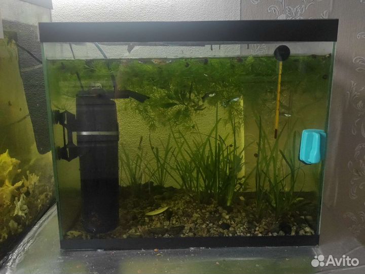 Аквариум