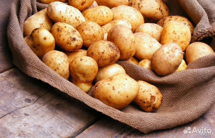 Картофель