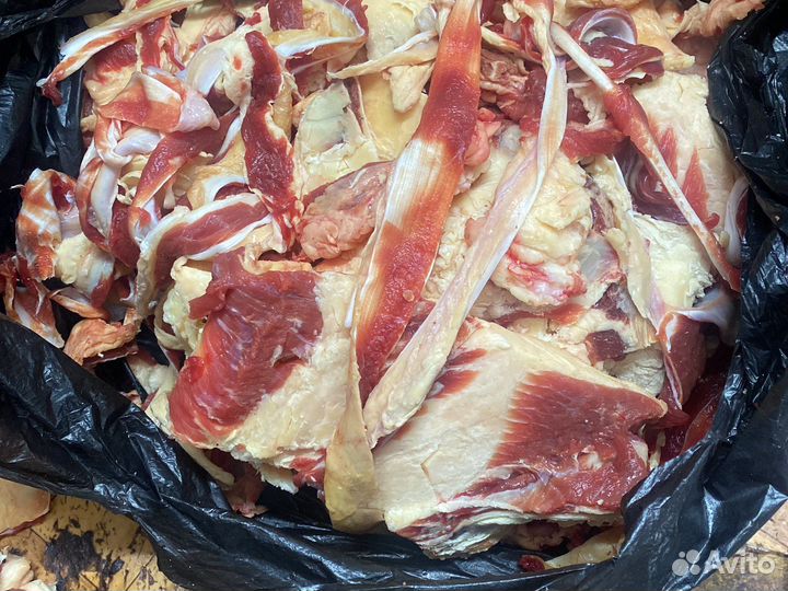 Обрезь говядина