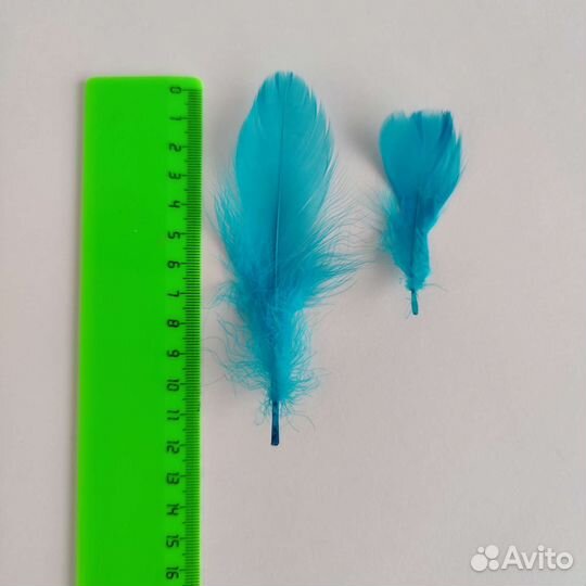 Перья декоративные голубые 100 штук