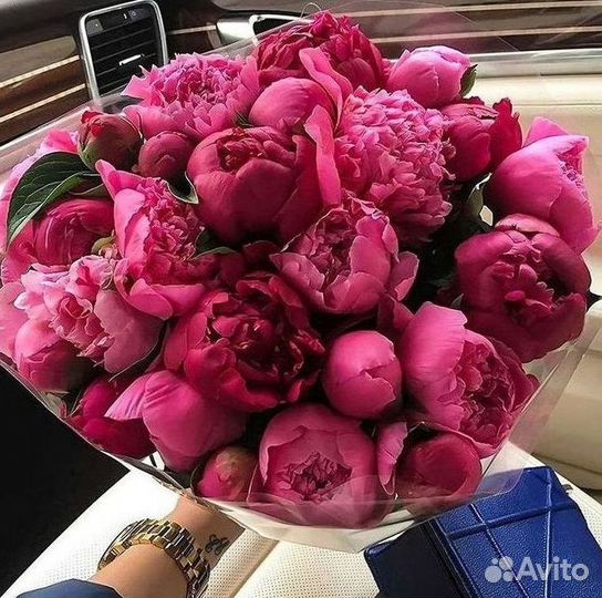 Пионы Цветы Доставка