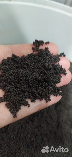 Грунт для аквариума пропант