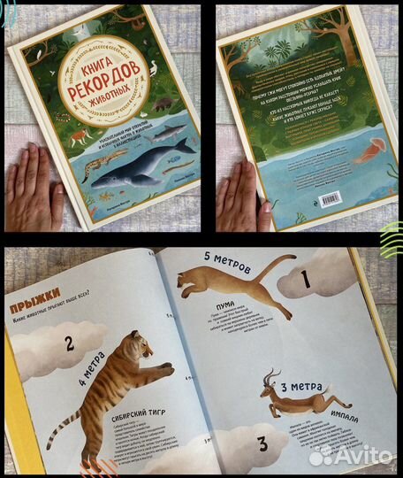 Новые детские книги энциклопедии, виммельбух