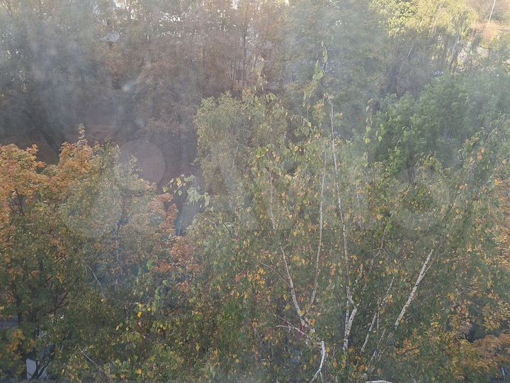 Комната 70 м² в 3-к., 12/14 эт.